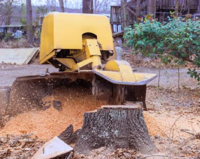 Stump grinding