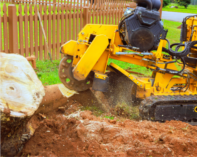 Stump grinding
