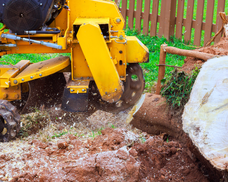 stump grinding